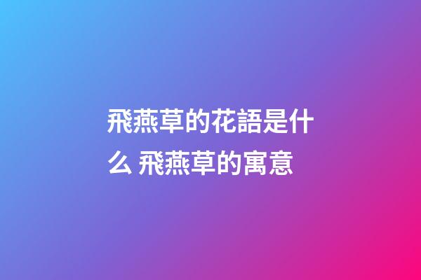 飛燕草的花語是什么 飛燕草的寓意